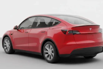 Model Y L